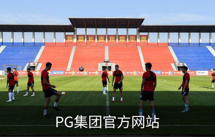 PG集团官方网站简介